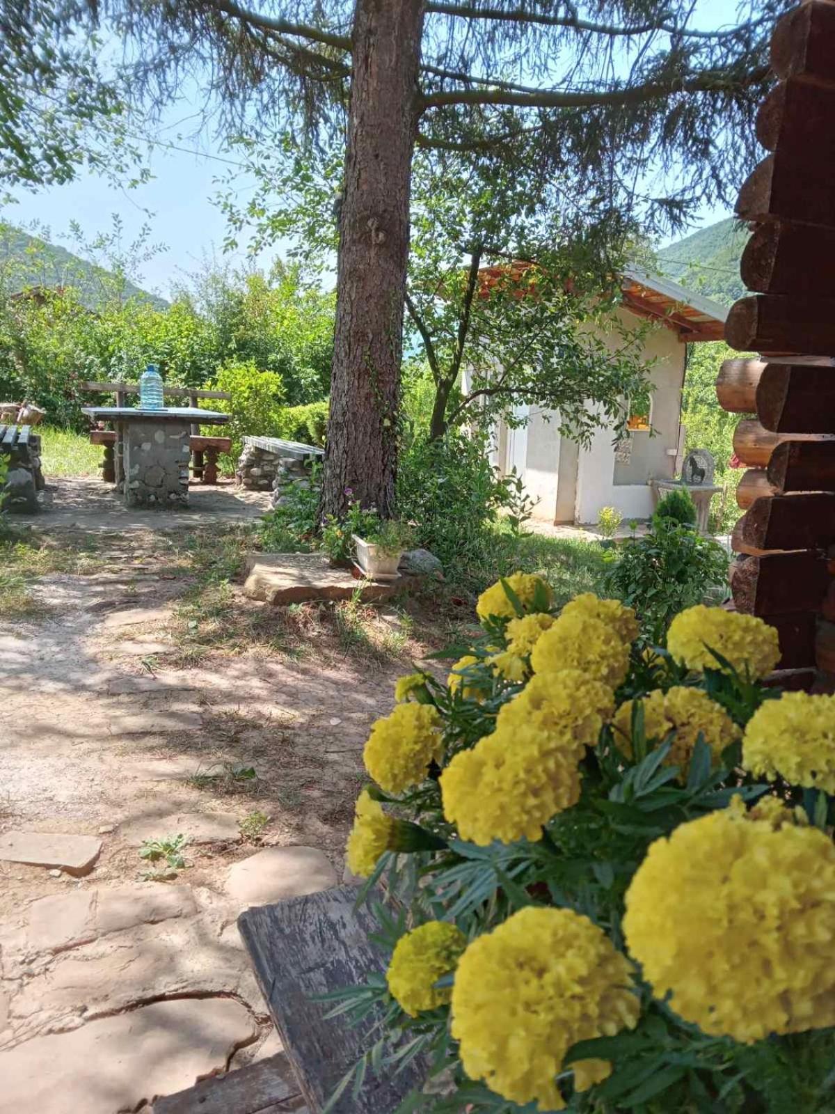 Villa Piramida Mjeseca Visoko Exterior foto
